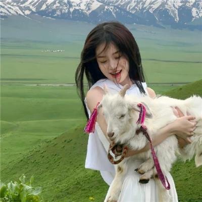 白天的星星